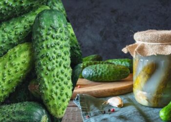 Смачні малосольні огірки за 3 години: оригінальний рецепт