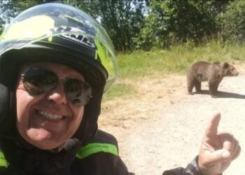 У Румунії на популярному гірському маршруті ведмідь роздер туриста після селфі з ним