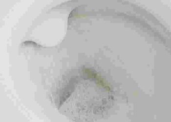 Цей незвичайний спосіб дійсно працює: навіщо засипати сіль в унітаз