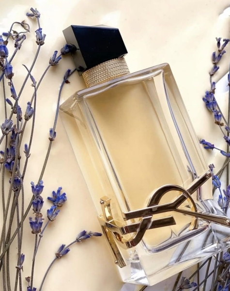 5 найкращих парфумів для офісу