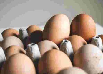 Як лише за 5 секунд дізнатися, чи свіжі яйця: простий тест