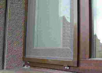 Швидко і не знімаючи з вікна: як легко почистити москітну сітку від бруду та пилу