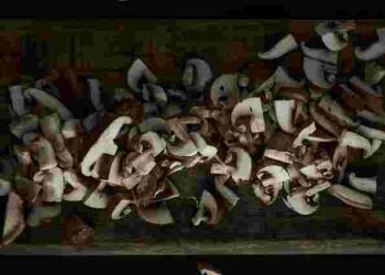 Не будуть водянистими чи гумовими: корисні поради, як приготувати печериці