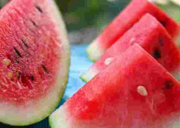 Діяти треба швидко: як продовжити термін зберігання кавуна