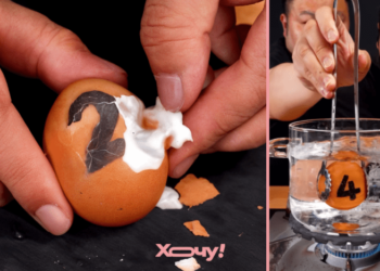 Четыре, шесть, восемь минут: сколько варить яйцо для идеального результата (ВИДЕО)