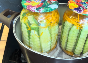 Эти огурцы по-корейски – лучшая заготовка на зиму: идеальный рецепт (ВИДЕО)