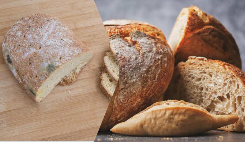 Хліб буде довго свіжим: ось з чим його потрібно зберігати, щоб не було цвілі