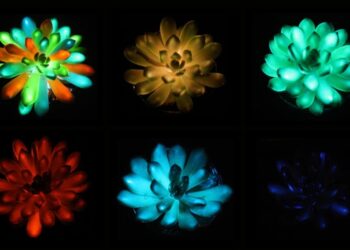 Як в “Аватарі”: рослини, що світяться різними кольорами, можуть замінити нічні лампи