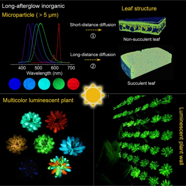 Як в "Аватарі": рослини, що світяться різними кольорами, можуть замінити нічні лампи