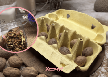 Как начистить гору орехов без мороки и лишнего мусора: крутой трюк (ВИДЕО)