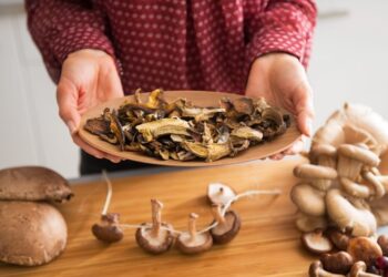 Как сохранить грибы на целый год: яркий вкус и аромат без консервации и замораживания