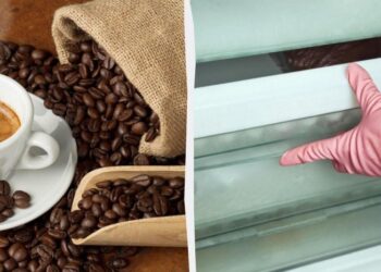 Кава місяцями не вивітрюватиметься, якщо зберігати її так: головна хитрість