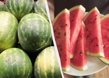 Кавуни з такою ознакою купувати не можна: вони несмачні та водянисті