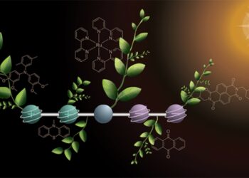 Крок до штучного фотосинтезу: згенерована молекула накопичує заряди під впливом світла