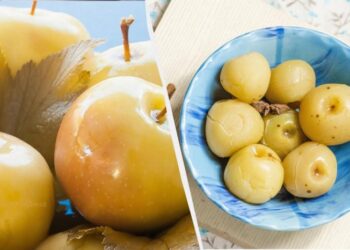 Мочені яблука “Газовані” тануть у роті: кориснішої закуски не придумати