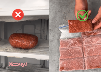Не кладите в морозилку “камень”: как на самом деле нужно замораживать фарш