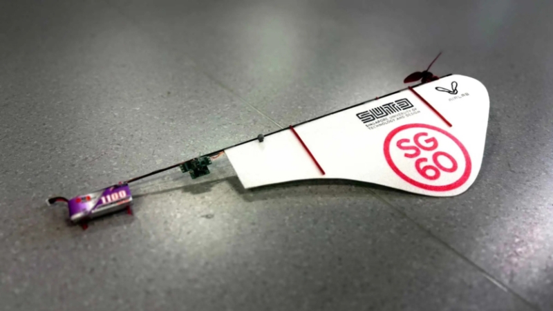 Одномоторний мікродрон, натхнений насінням клену, зависає у повітрі на 26 хвилин