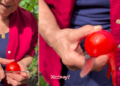 Просто проведите ножом: итальянская бабушка показала, как почистить помидор без ошпаривания (ВИДЕО)