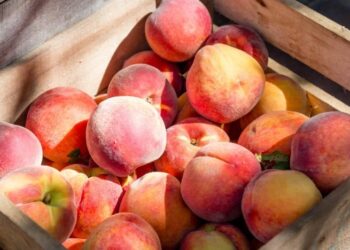 Просто возьмите плоскогубцы: как через минуту надрылевать огромную миску персиков (ВИДЕО)