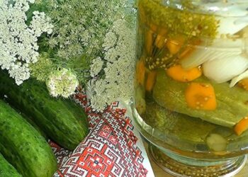 Самые вкусные огурчики на зиму: как закрыть их по-польски (РЕЦЕПТ)