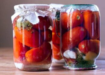 Сделайте это – и помидоры в банке не потрескаются: гениальный лайфхак