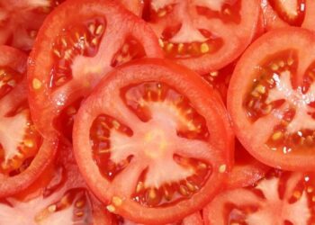 Сделайте это сейчас, чтобы зимой есть свежие помидоры: как сохранить вкус и аромат