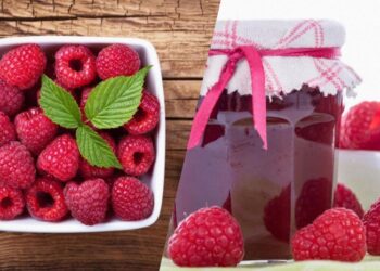 Смак літа за 5 хвилин: як зварити швидке малинове варення