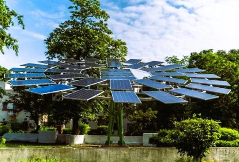 Сонячні дерева виробляють електрику та зберігають ліси від вирубання