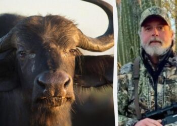 У ПАР заможний мисливець став жертвою власного “трофея”