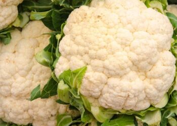 Зимой эта заготовка стоит сотни гривен: как заморозить цветную капусту