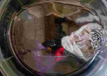 Якщо маєте домашніх тварин, це необхідно: навіщо класти вологу серветку в пралку