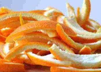 Замінить гній і золу: яке добриво найкраще відновить землю на городі