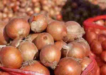 Холодильник не підійде: де і як зберігати цибулю, щоб вона довго не псувалася