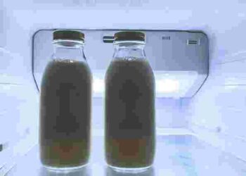 Як правильно зберігати відкрите молоко в холодильнику: корисні поради