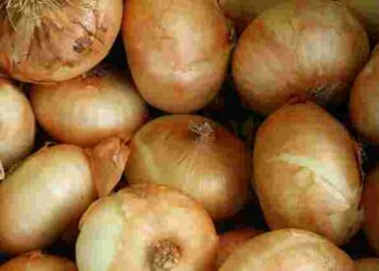 Цибуля без гнилі: що варто знати, щоб вона не псувалася й довго лежала