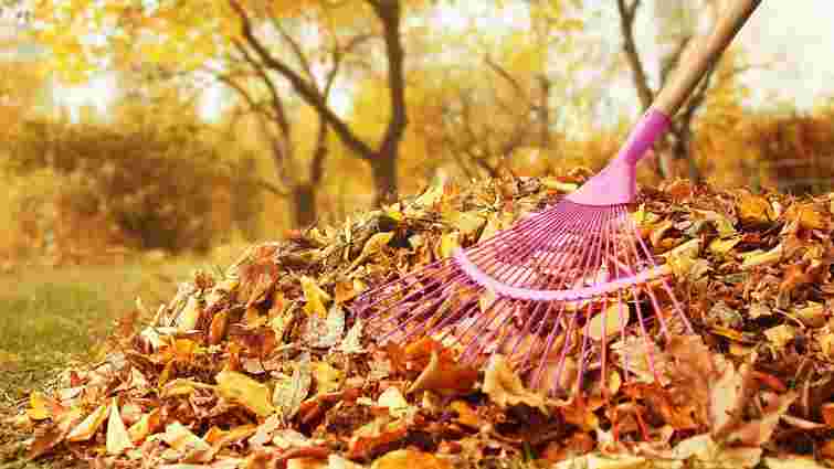 Ці поради врятують ваш сад: з якими осінніми справами не слід поспішати