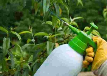 Осіннє обприскування саду всього за дві години: які чотири кроки зекономлять ваш час