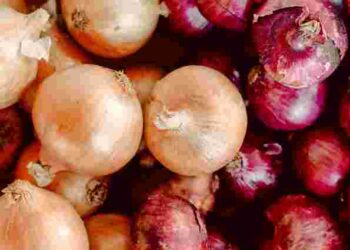 Чим посипати грядки восени, щоб часник і цибуля виросли гігантськими