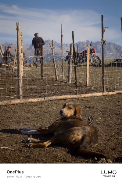 OnePlus 15 вийде до кінця року, компанія опублікувала фото з камери смартофна