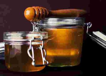 Натуральний стимулятор росту: як зробити природний укорінювач для живців і насіння