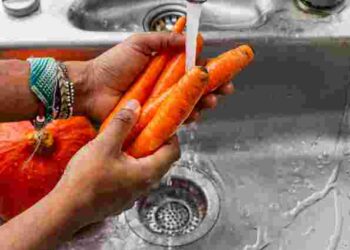 Потрібен спеціальний розчин: як правильно мити овочі та фрукти для консервації