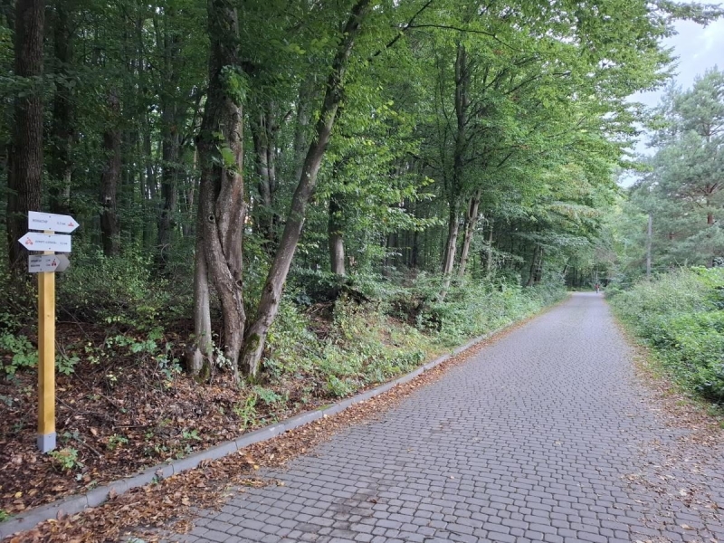 Біля курорту Сатанів облаштували 32-кілометровий туристичний маршрут: чим він цікавий