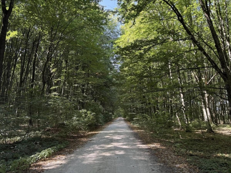 Біля курорту Сатанів облаштували 32-кілометровий туристичний маршрут: чим він цікавий