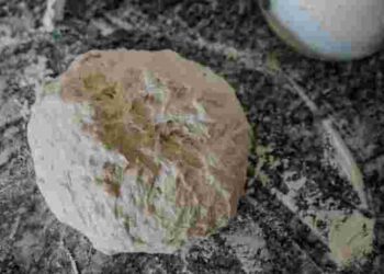 Збережемо пухкість та текстуру: як правильно розкачувати дріжджове тісто