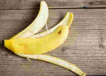 Замість смітника – у ґрунт: як приготувати добриво для осіннього підживлення