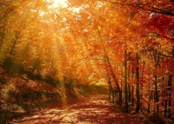 Час великих змін: як осіннє рівнодення вплине на кожен знак зодіаку