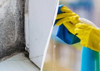 Чорної цвілі на стінах більше не буде – ось що потрібно зробити: лайфхак з Ірландії