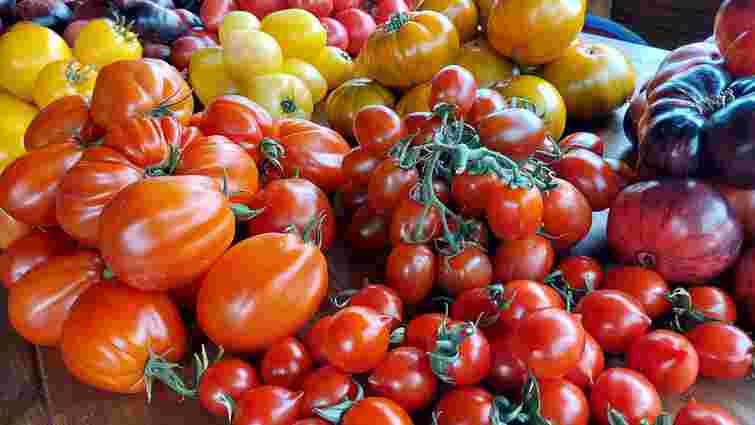 Вам захочеться їх спробувати вже: 5 найкращих сортів помідорів для консервації