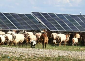 Китай будує найбільшу у світі сонячну електростанцію площею як Чикаго