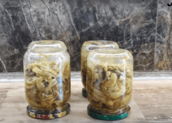 Лучшая осенняя закрутка “кабачки как шашлычки”: сколько ни закрой — будет мало (ВИДЕО)